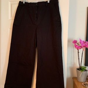 Everlane Wide Leg Denim Pants